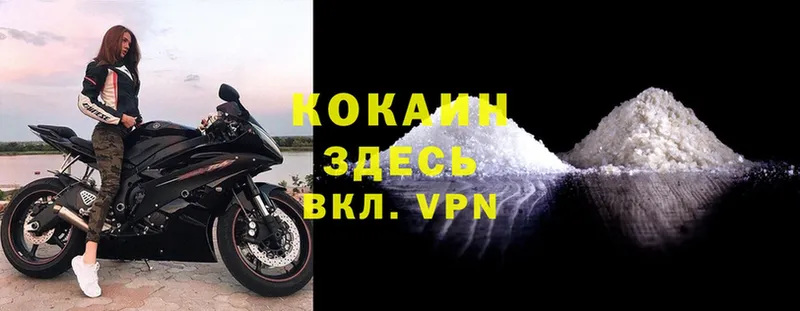 kraken как зайти  Кандалакша  COCAIN Fish Scale 